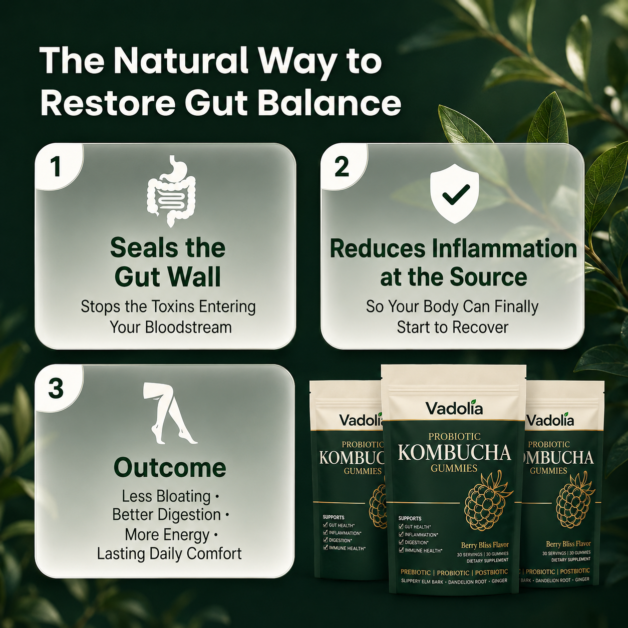 Vadolia™ Probiotic Kombucha Gummies | Daily Gut Health & Digestive Support