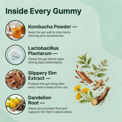 Vadolia™ Probiotic Kombucha Gummies | Daily Gut Health & Digestive Support